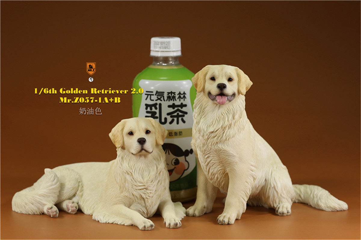 Mr.z 1/6 Golden Retriever Model