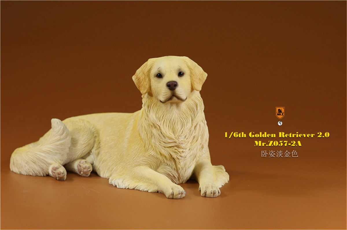 Mr.z 1/6 Golden Retriever Model