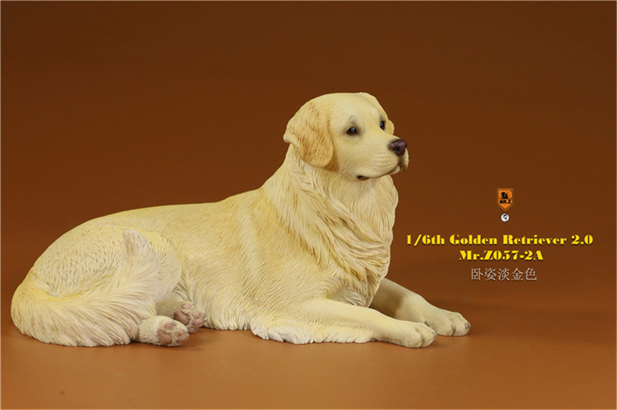 Mr.z 1/6 Golden Retriever Model