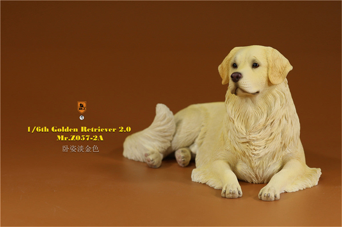 Mr.z 1/6 Golden Retriever Model