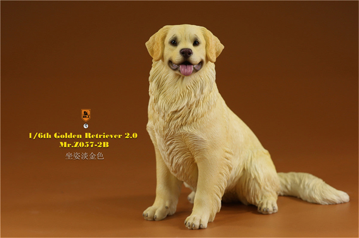 Mr.z 1/6 Golden Retriever Model