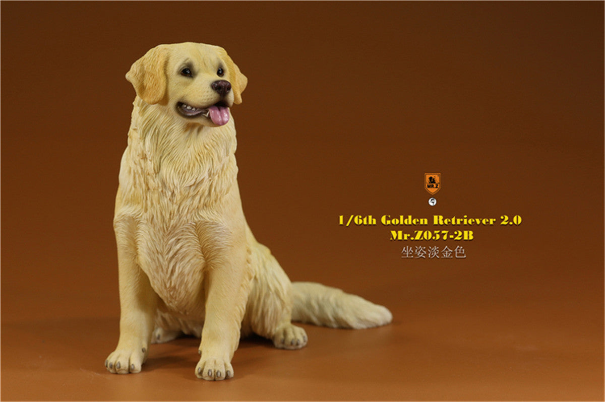 Mr.z 1/6 Golden Retriever Model
