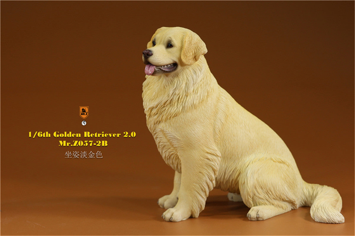 Mr.z 1/6 Golden Retriever Model