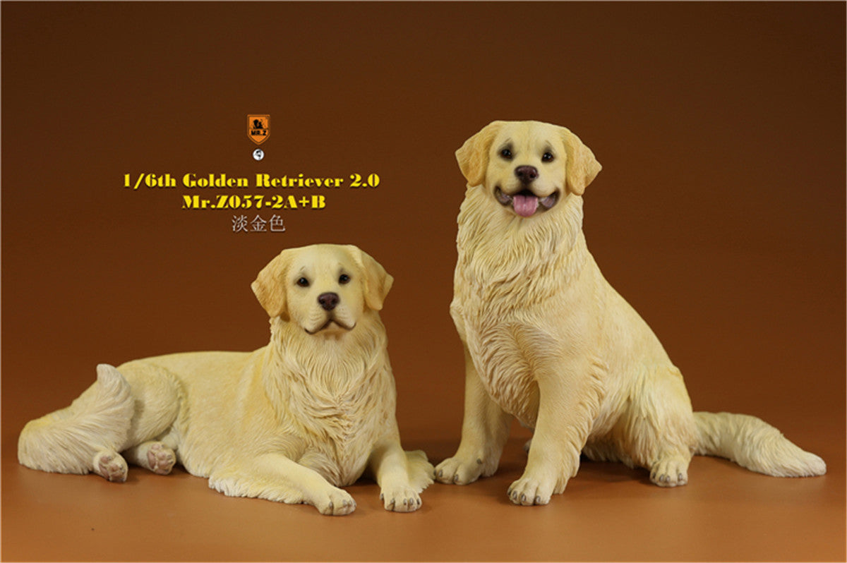 Mr.z 1/6 Golden Retriever Model
