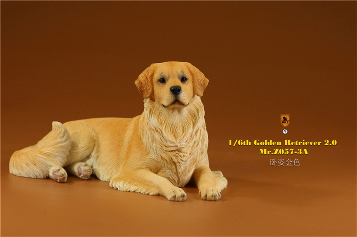 Mr.z 1/6 Golden Retriever Model