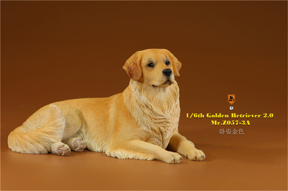 Mr.z 1/6 Golden Retriever Model