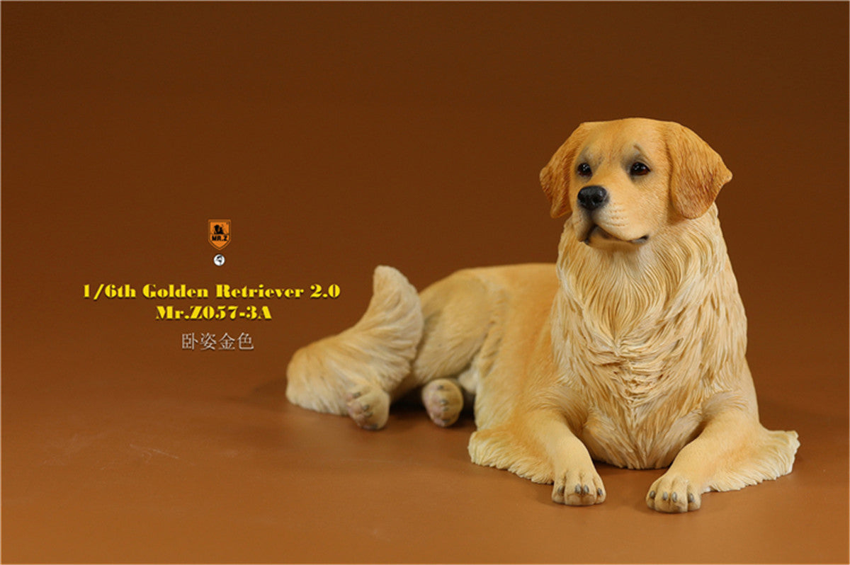 Mr.z 1/6 Golden Retriever Model