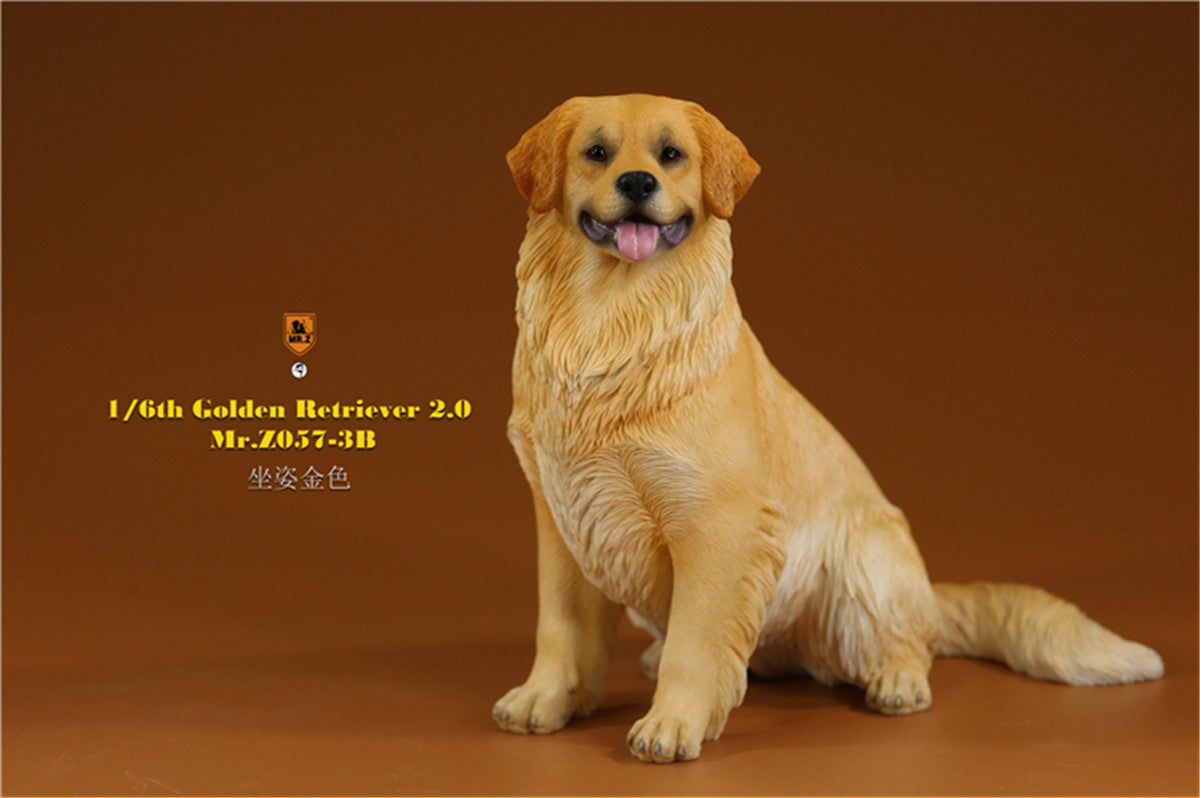 Mr.z 1/6 Golden Retriever Model