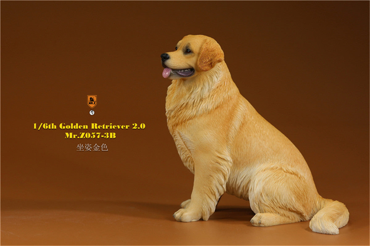 Mr.z 1/6 Golden Retriever Model