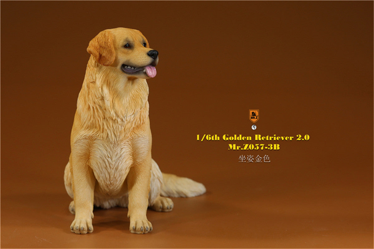 Mr.z 1/6 Golden Retriever Model