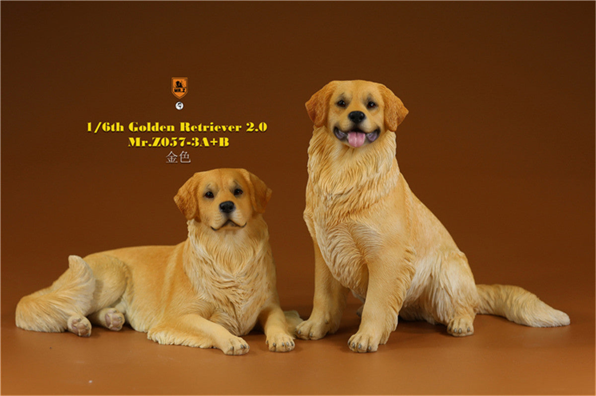 Mr.z 1/6 Golden Retriever Model