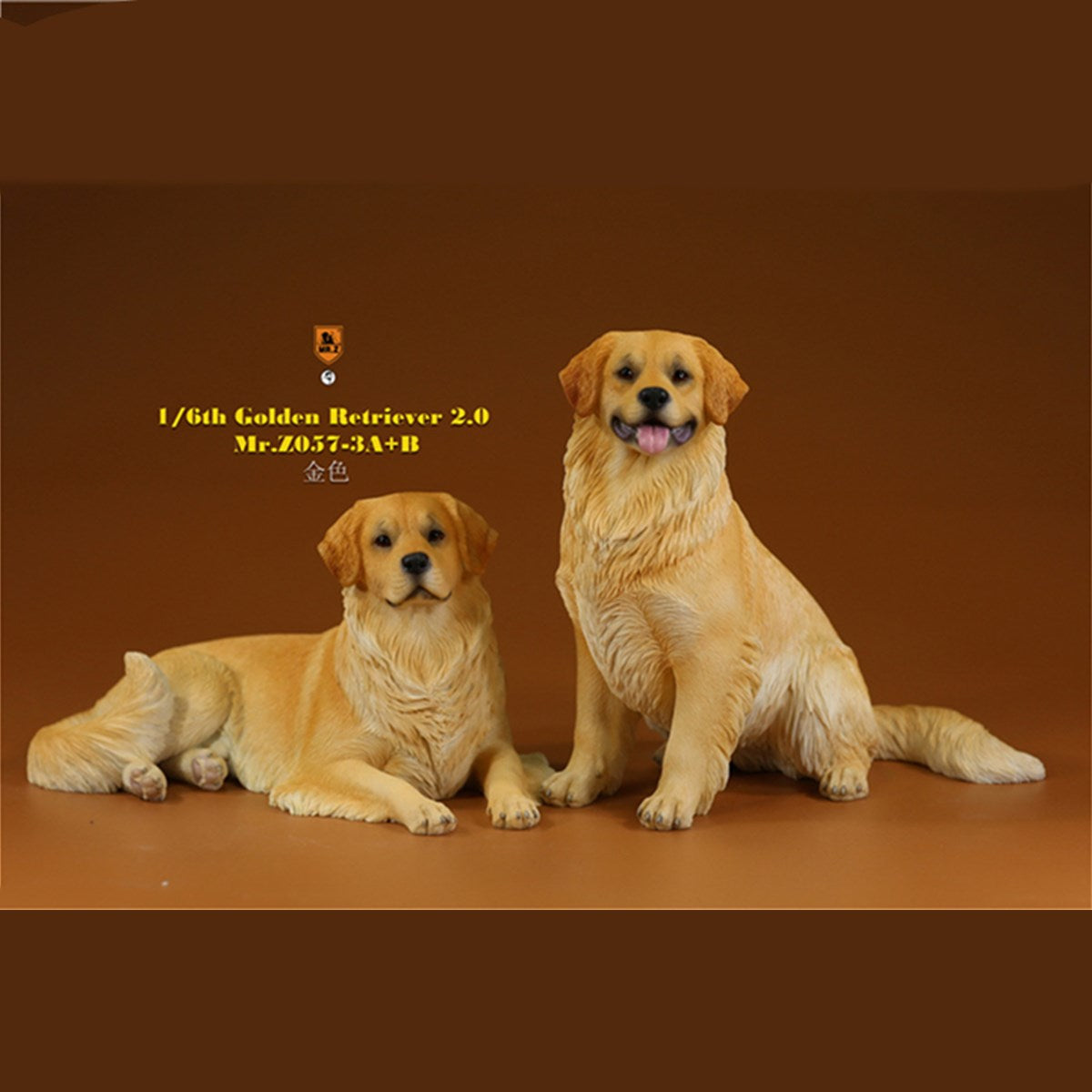 Mr.z 1/6 Golden Retriever Model