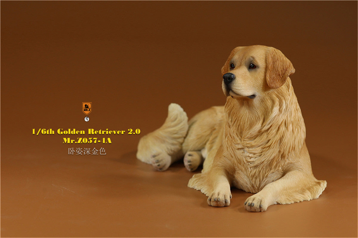 Mr.z 1/6 Golden Retriever Model