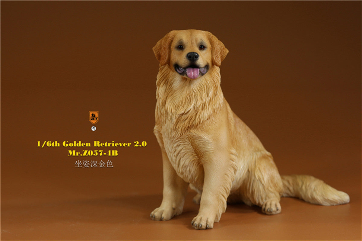 Mr.z 1/6 Golden Retriever Model