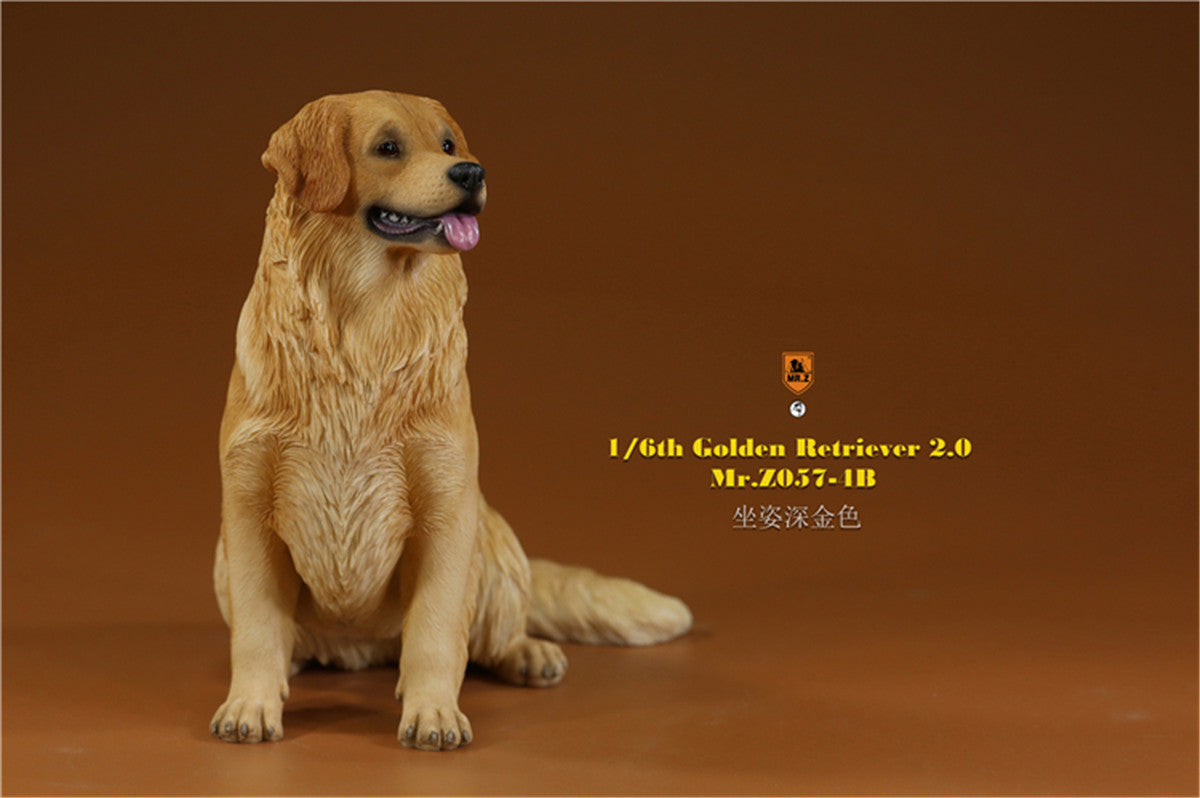 Mr.z 1/6 Golden Retriever Model