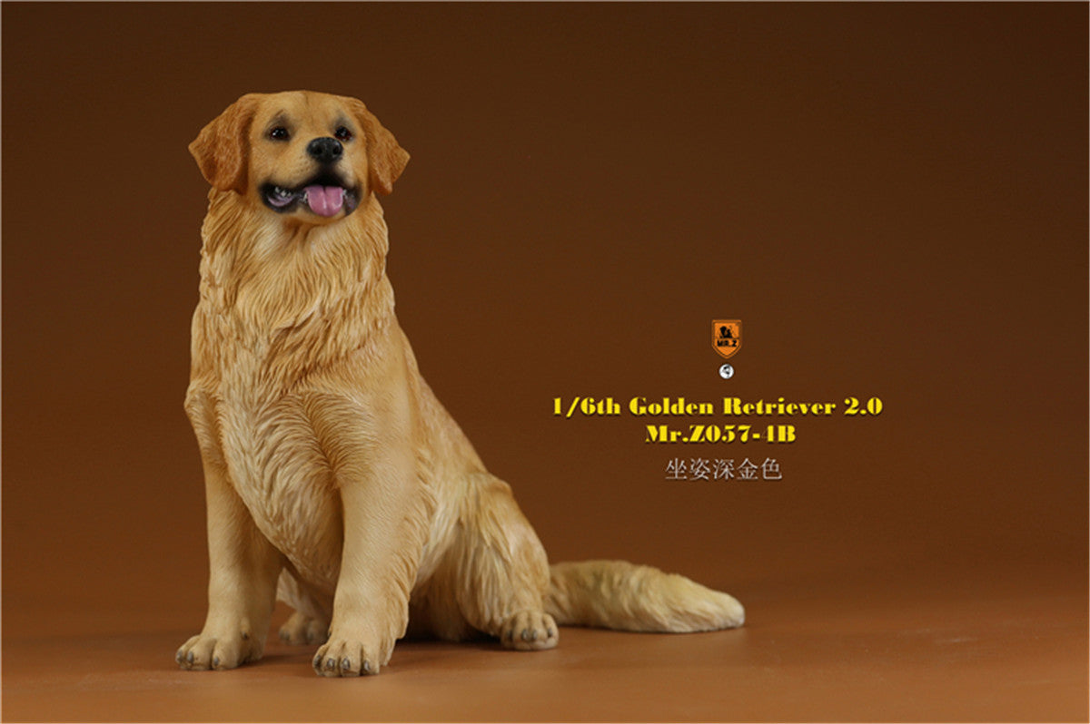 Mr.z 1/6 Golden Retriever Model