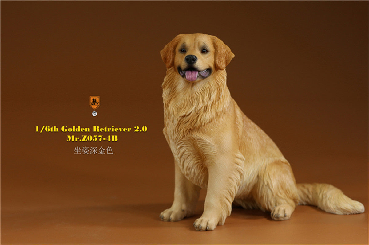 Mr.z 1/6 Golden Retriever Model