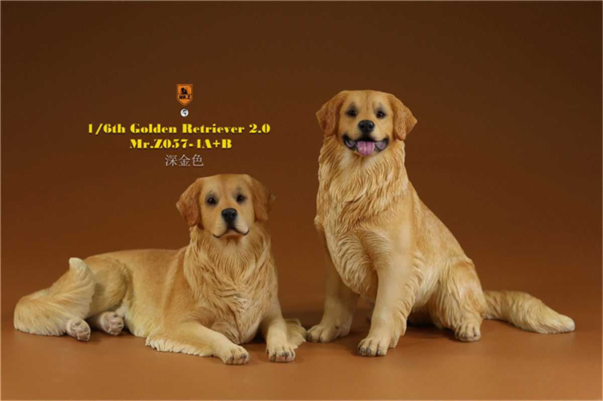 Mr.z 1/6 Golden Retriever Model