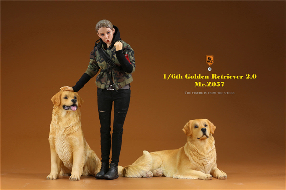 Mr.z 1/6 Golden Retriever Model