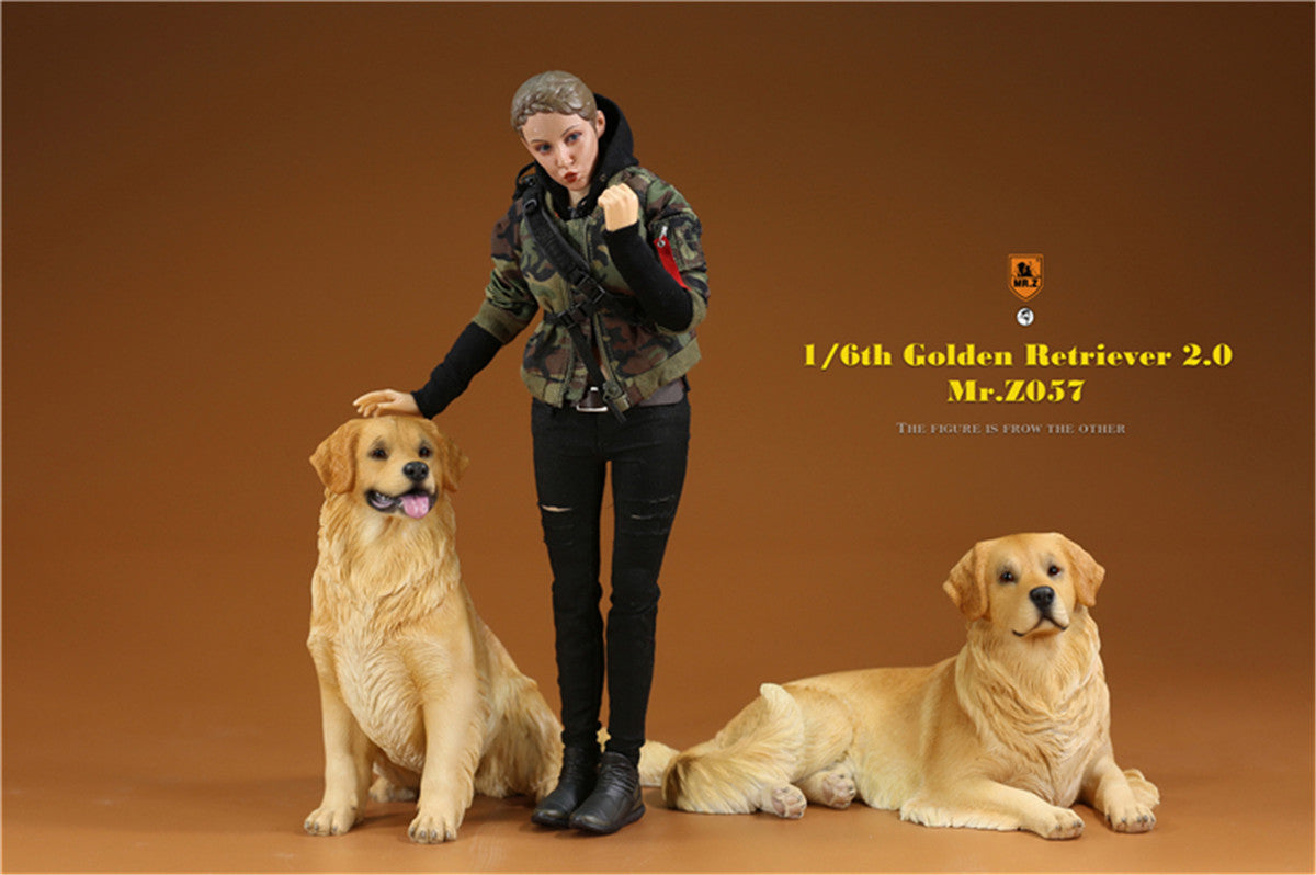 Mr.z 1/6 Golden Retriever Model