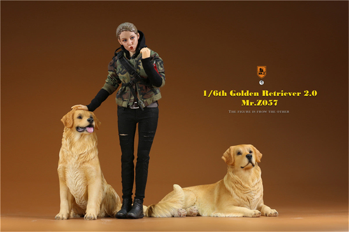 Mr.z 1/6 Golden Retriever Model