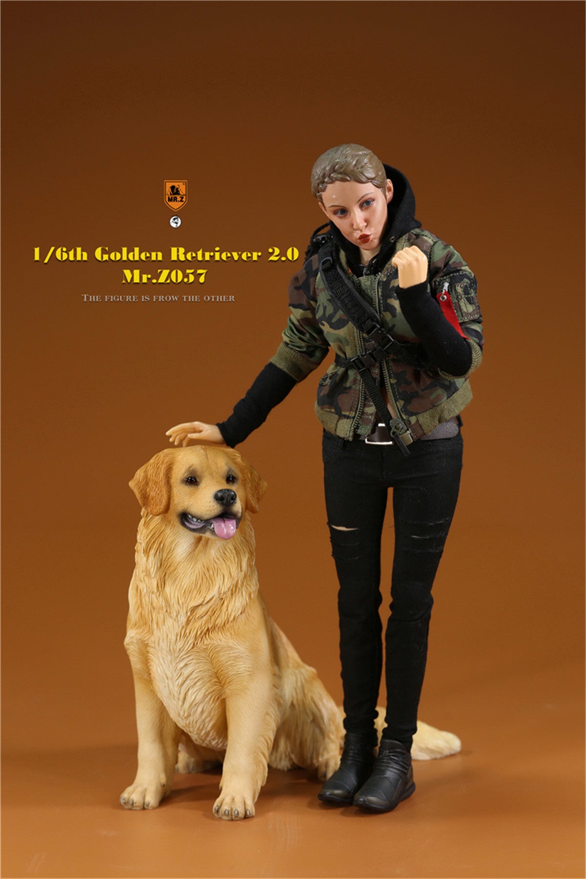 Mr.z 1/6 Golden Retriever Model