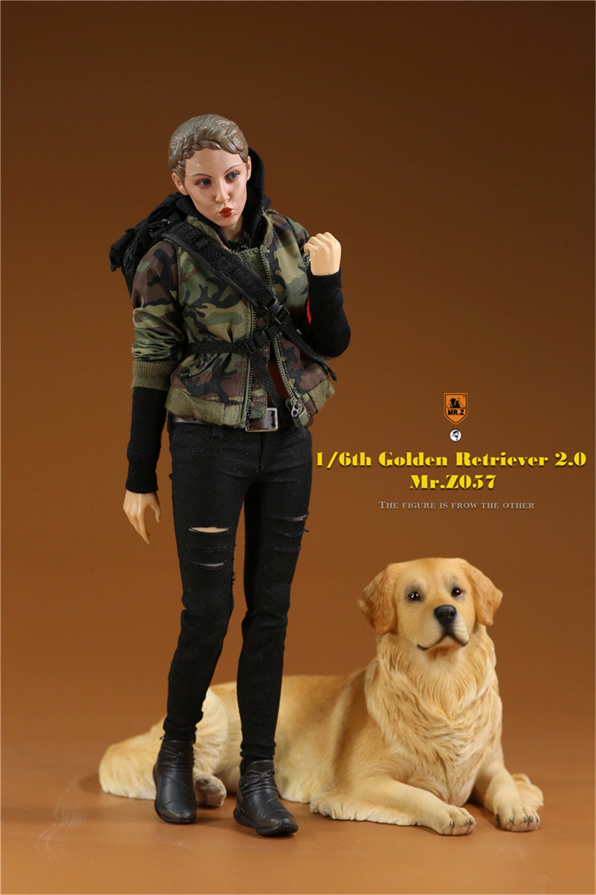 Mr.z 1/6 Golden Retriever Model