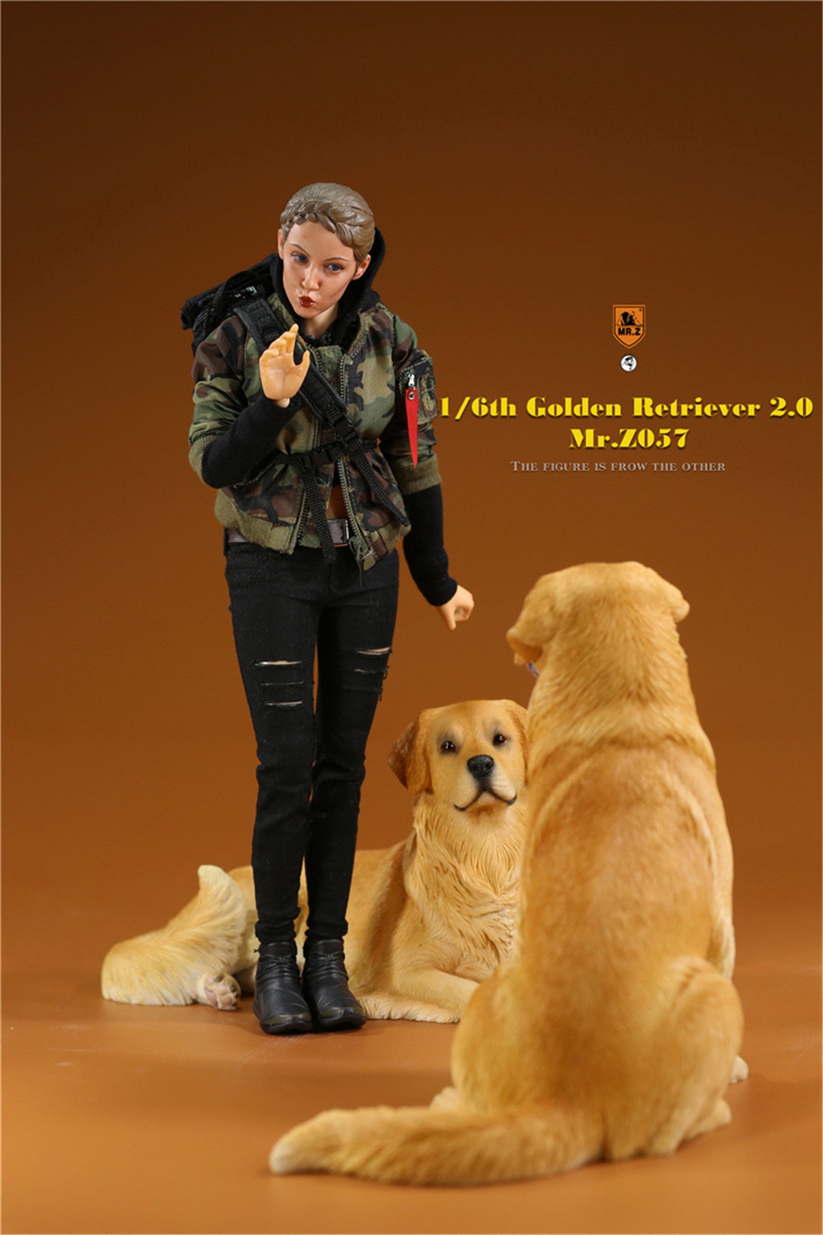 Mr.z 1/6 Golden Retriever Model