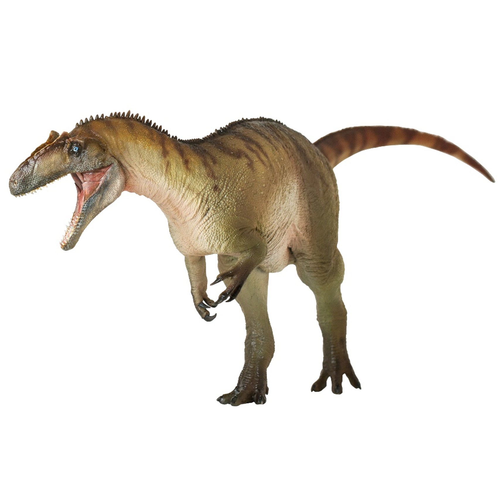 PNSO Allosaurus Paul Model