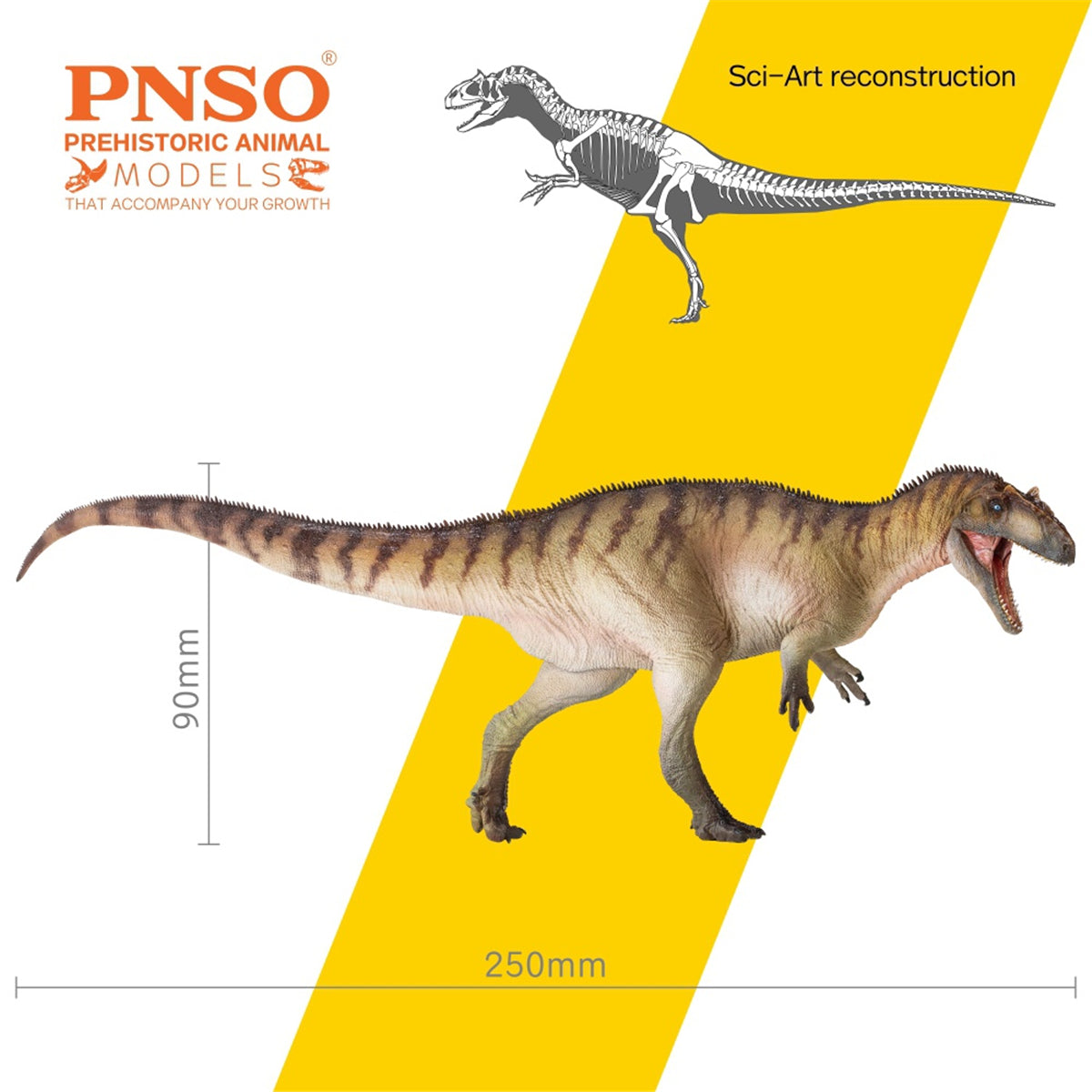 PNSO Allosaurus Paul Model