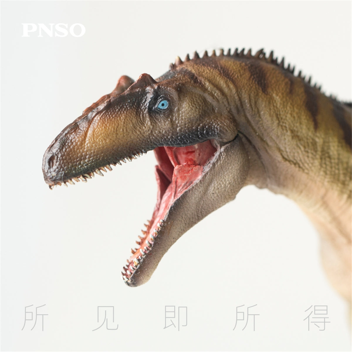 PNSO Allosaurus Paul Model