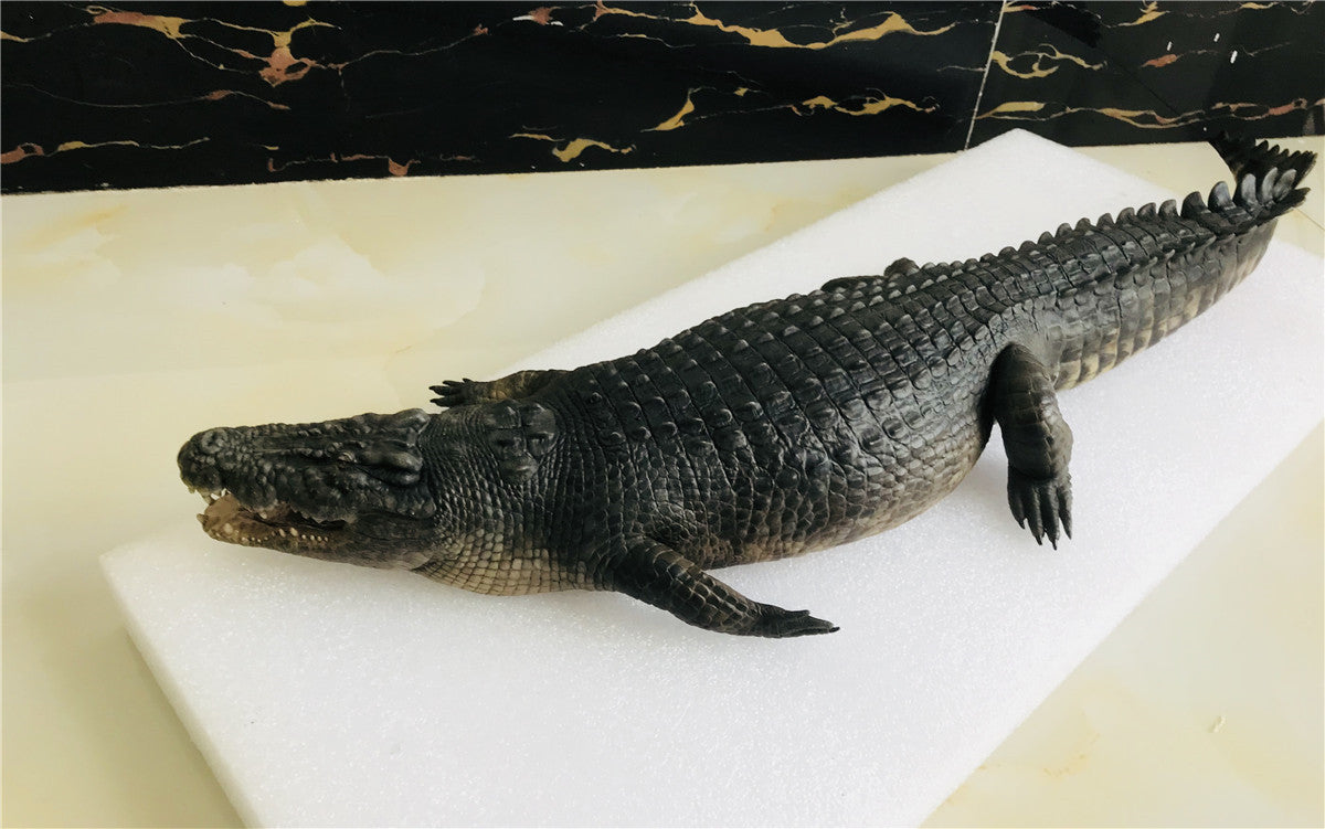 Lolong Estuarine Crocodile Model