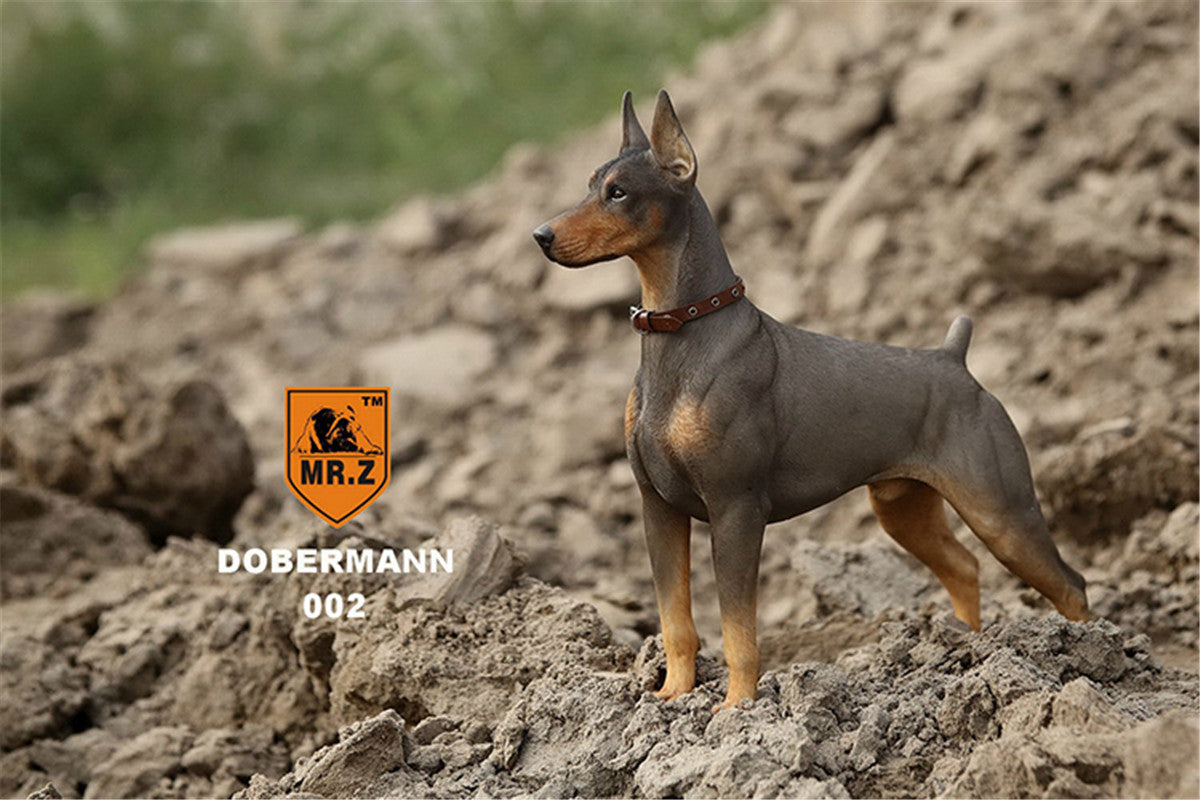 Mr.z 1/6 Dobermann Figure