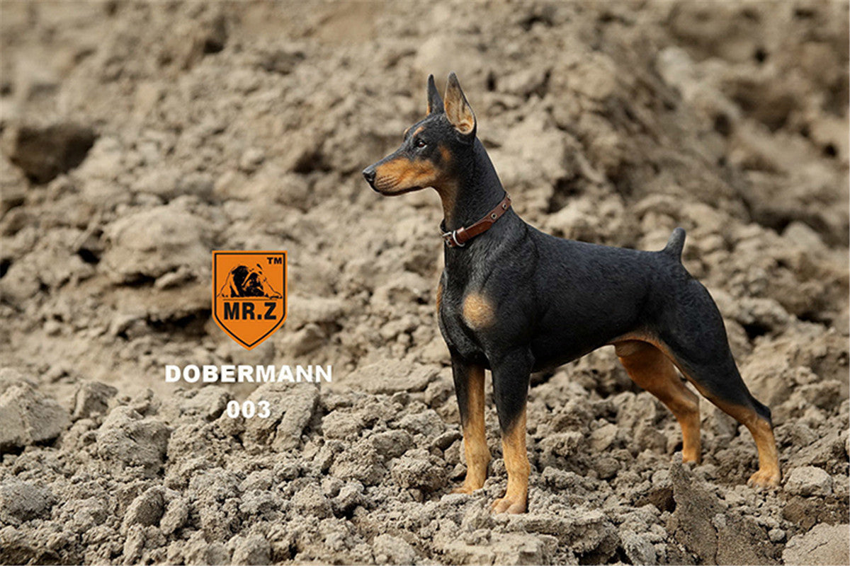 Mr.z 1/6 Dobermann Figure
