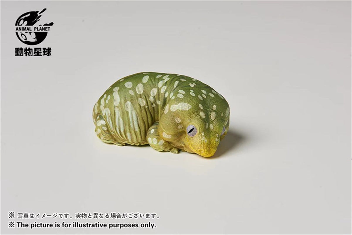 Wall Lizard Model