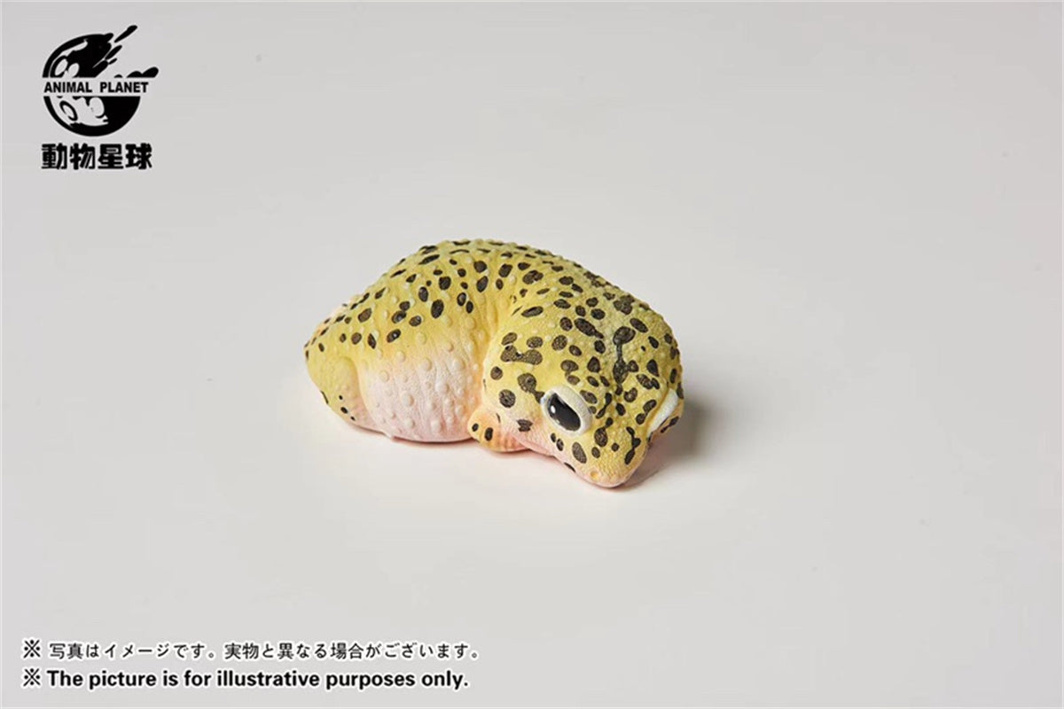 Wall Lizard Model