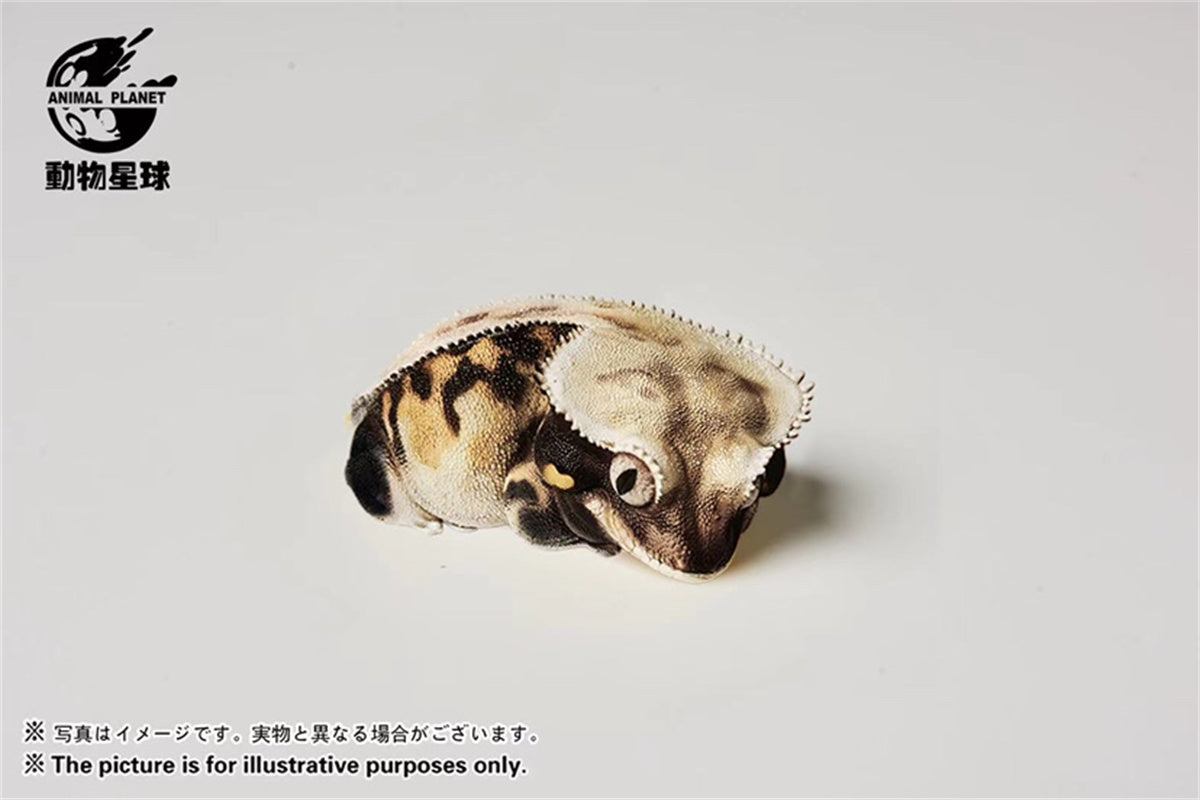 Wall Lizard Model