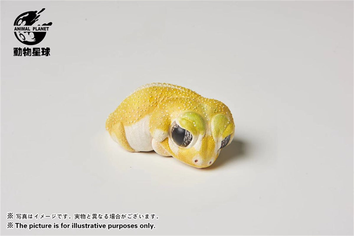 Wall Lizard Model