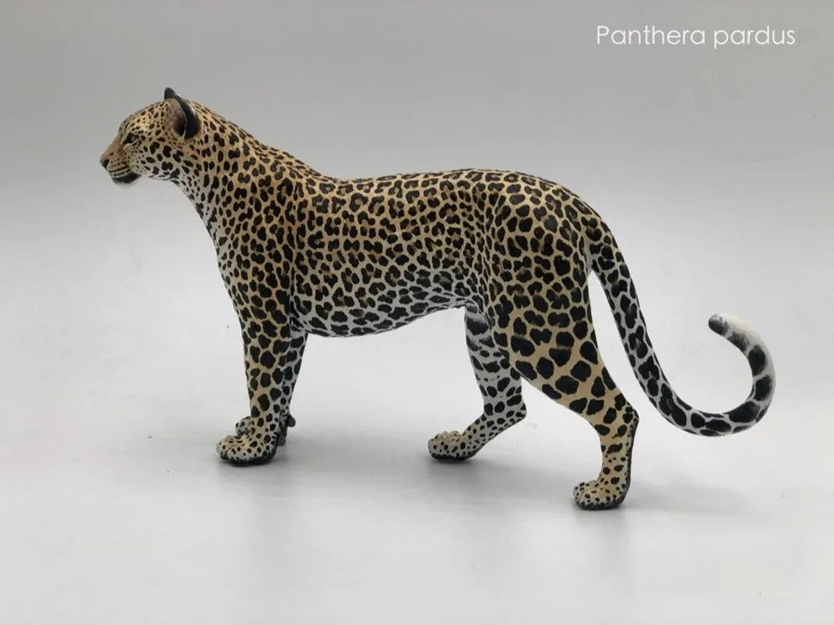 Leopard VS Antelope Scene Model