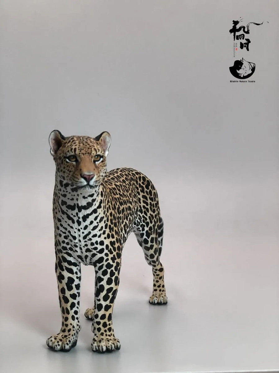 Leopard VS Antelope Scene Model
