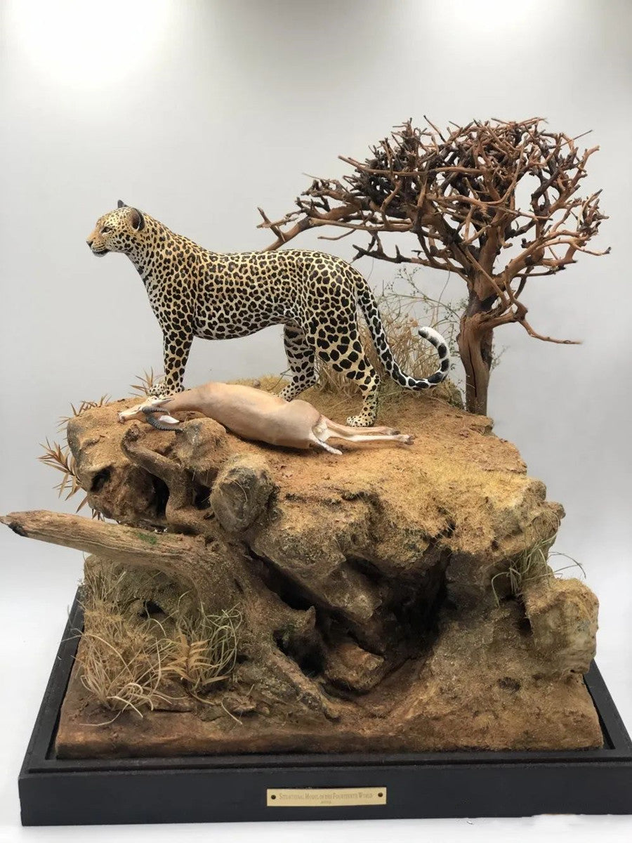 Leopard VS Antelope Scene Model