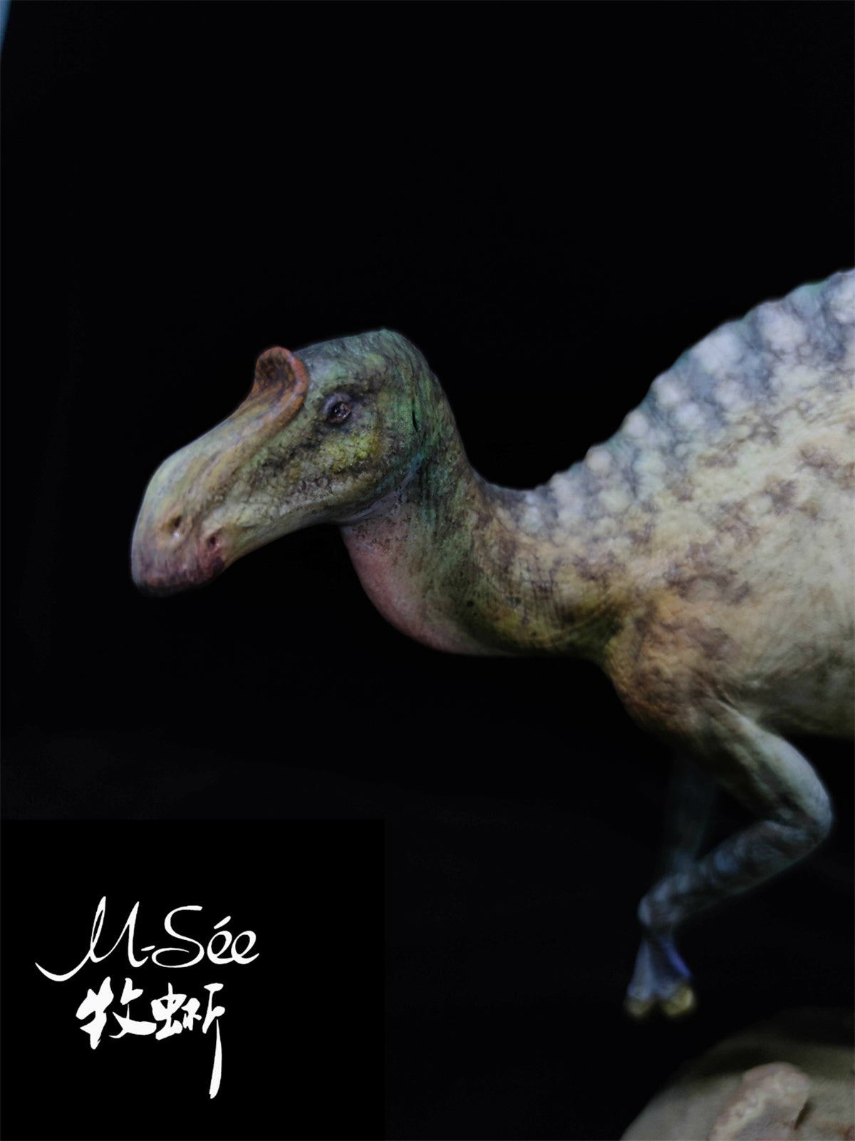 MuSee 1/20 Maiasaura Model