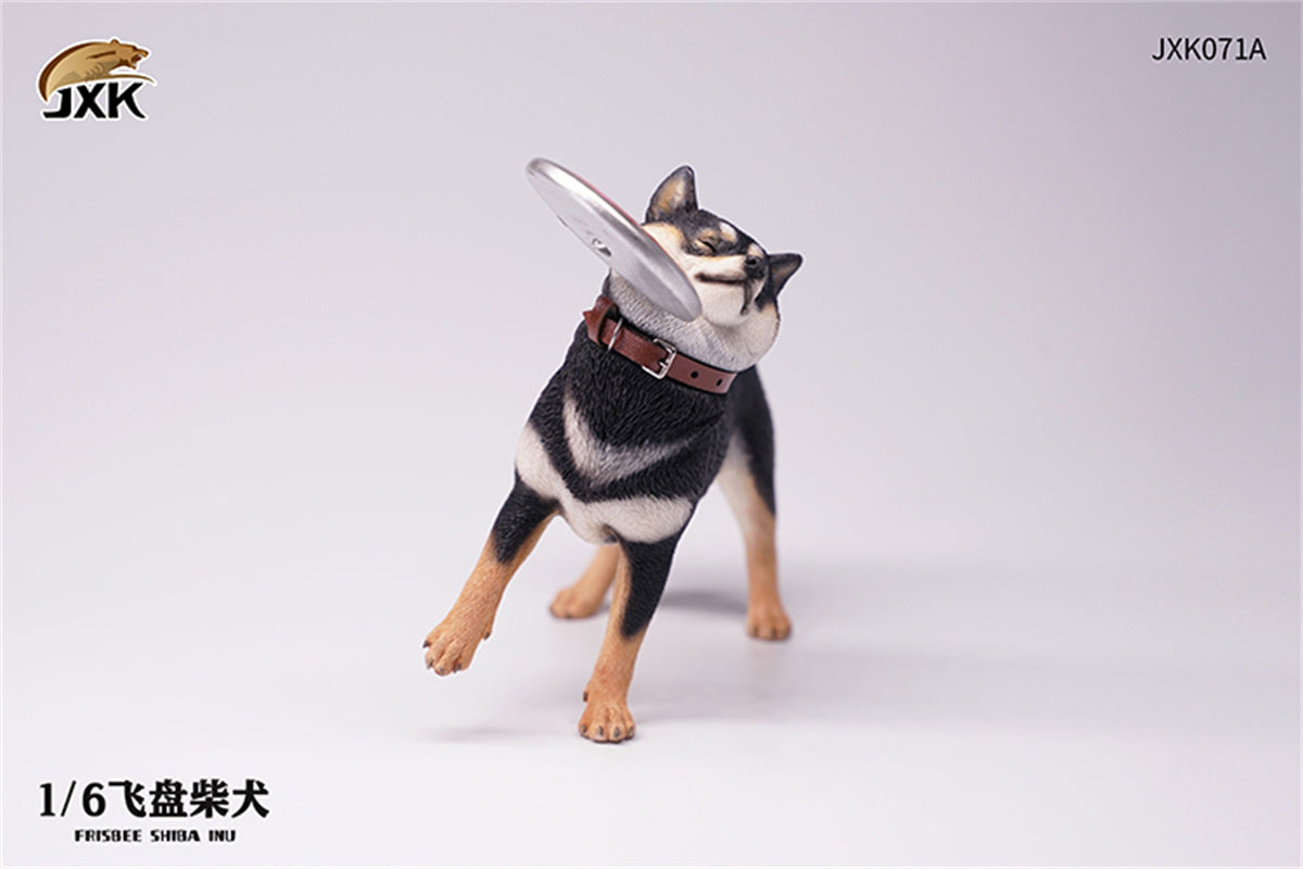 JXK 1/6 Football Shiba Inu Model