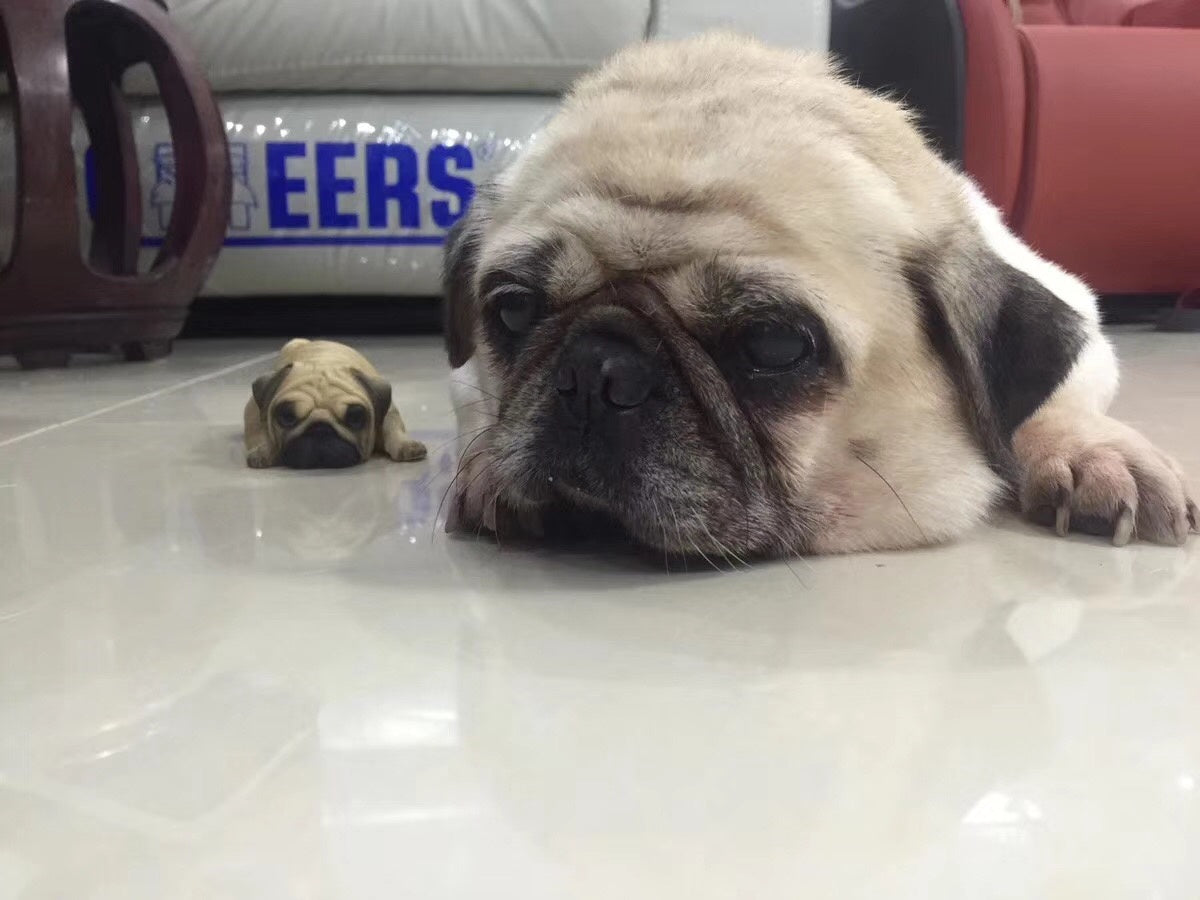 M7 Prone Position Pug Model