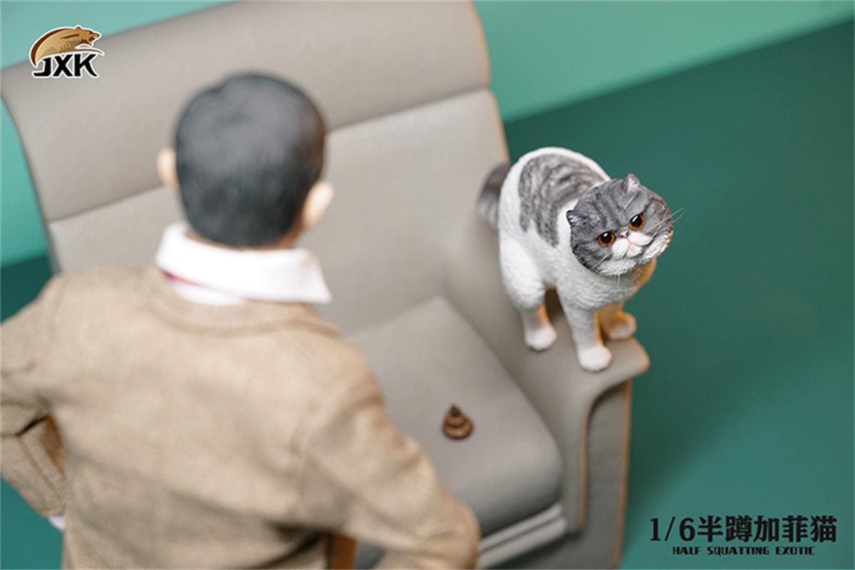 JXK 1/6 Half Squatting Exotic Model