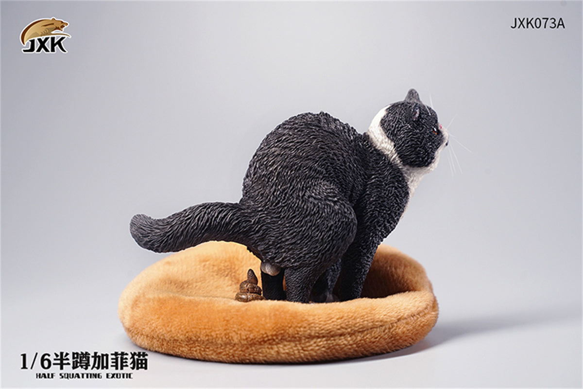 JXK 1/6 Half Squatting Exotic Model