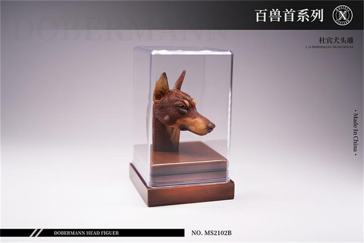 Mostoys 1/6 Dobermann Head Figure