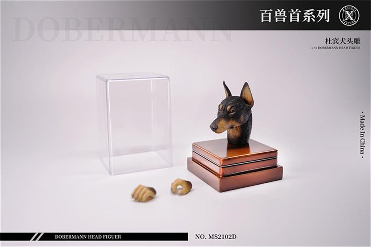 Mostoys 1/6 Dobermann Head Figure