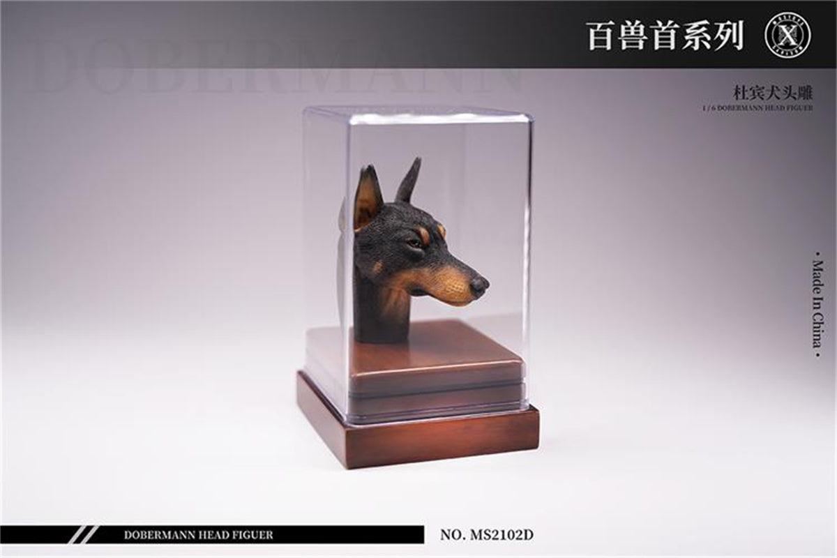 Mostoys 1/6 Dobermann Head Figure