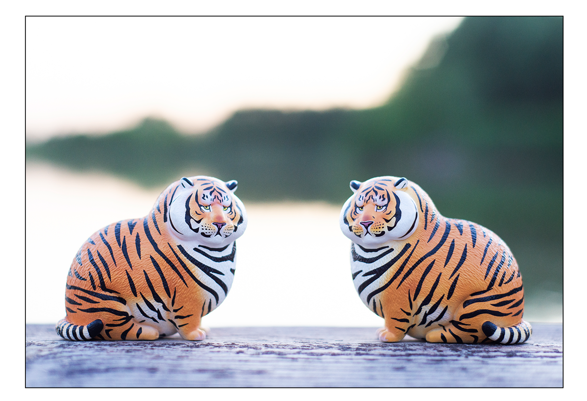 Bu2ma Mirror Panghu Model